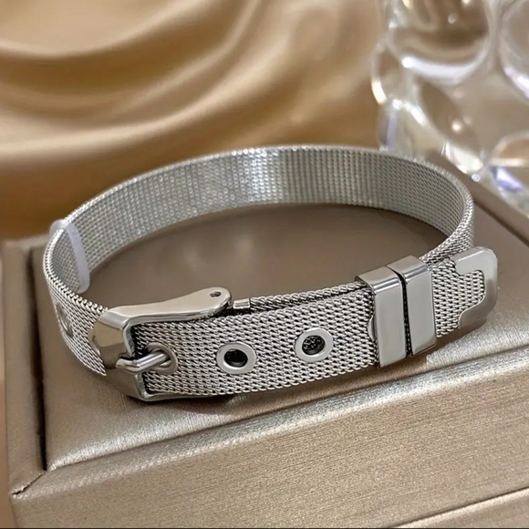 Silver Titanium Mesh Belt Band - Picture 2 of 3